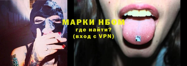 шишки Балабаново