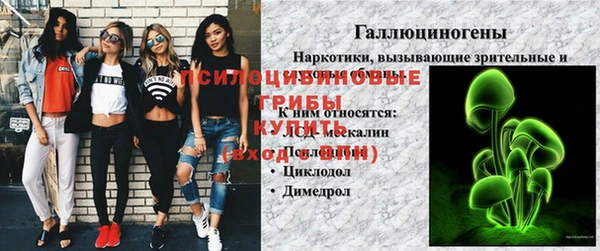 меф Арсеньев