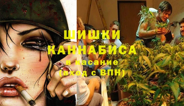 меф Арсеньев